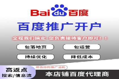 揭秘百度包年竞价优势：成功案例深度解析